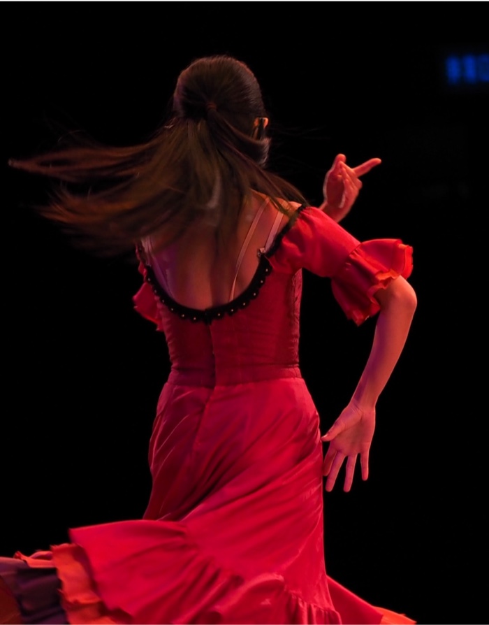 Flamenco night
