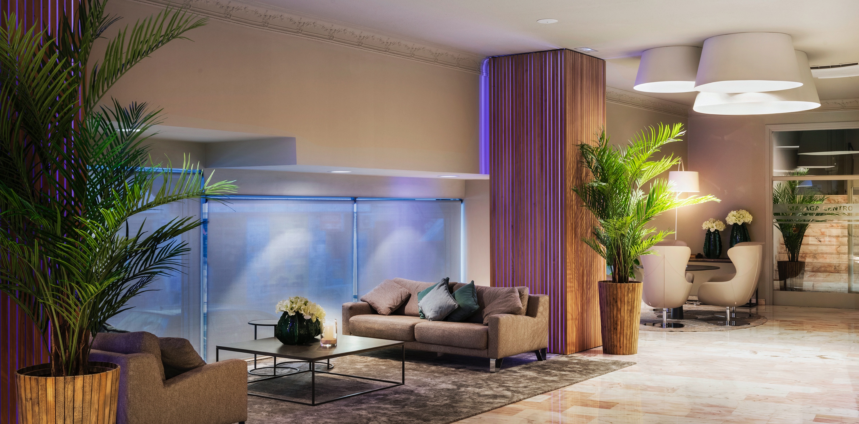 Hall hotel málaga centro