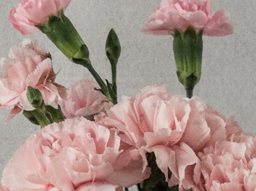 ÉTONNEZ VOTRE MOITIÉ AVEC UN MOMENT SPÉCIAL